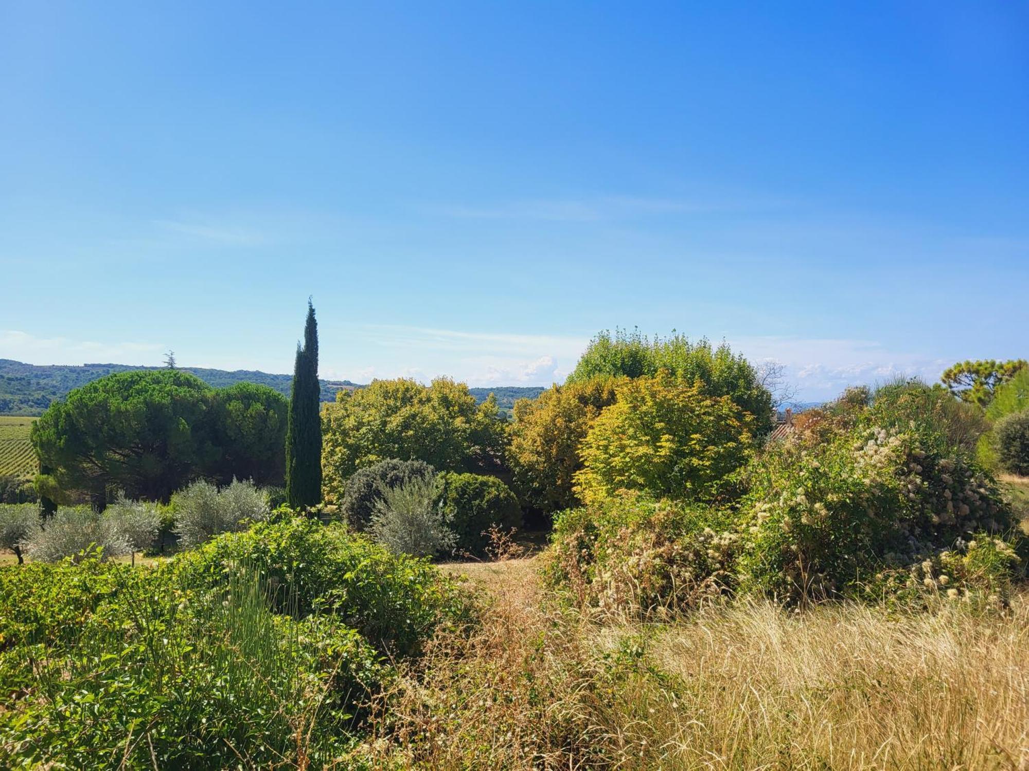 Les Saffres - Gite De Charme Pour 8 Personnes Valreas Exterior photo